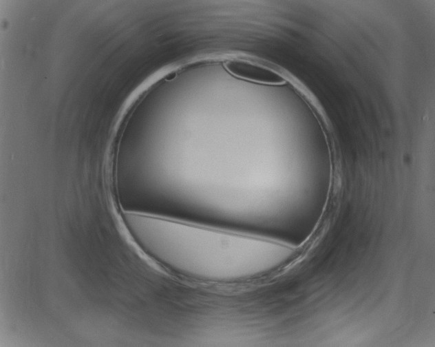 X0000081481053200701121036