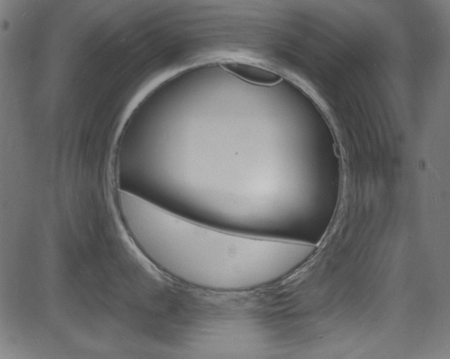 X0000081481056200701121036
