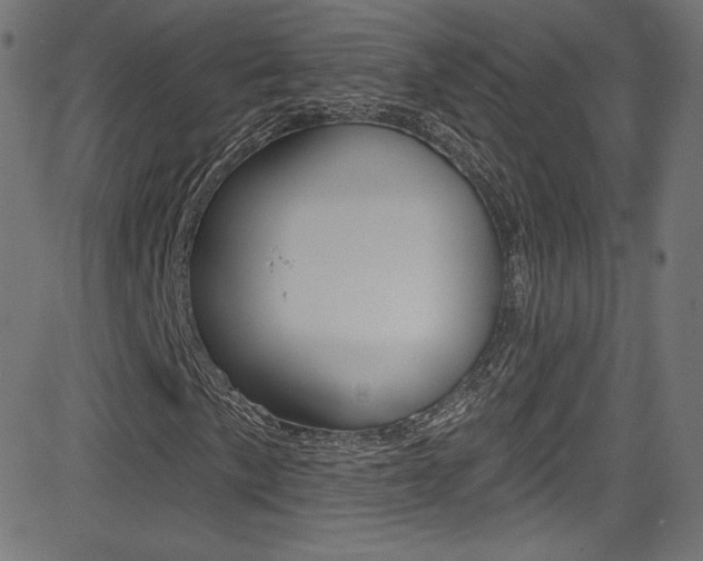 X0000081481057200701121035