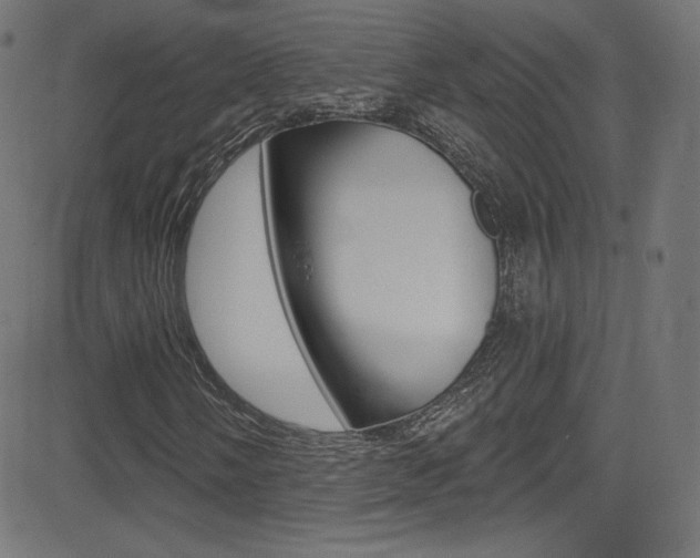 X0000081481058200701121035