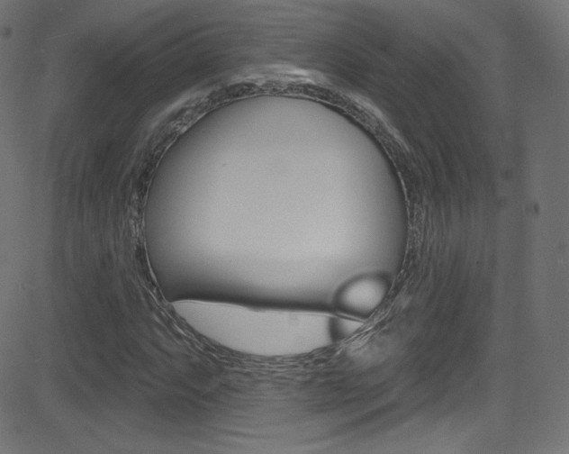 X0000081481063200701121035