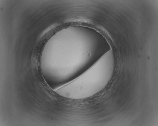 X0000081481064200701121035