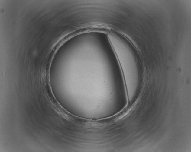X0000081481065200701121035