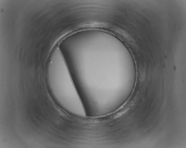 X0000081481073200701121035
