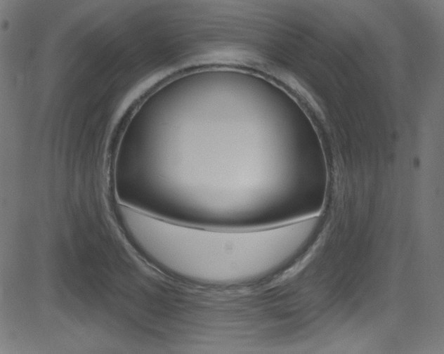 X0000081481077200701121035