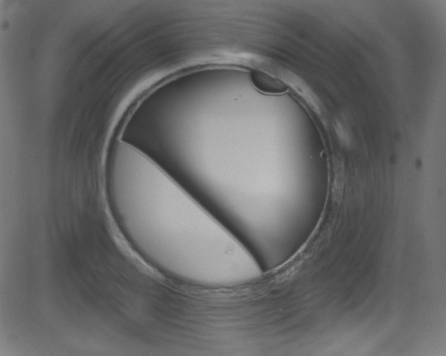 X0000081481080200701121035