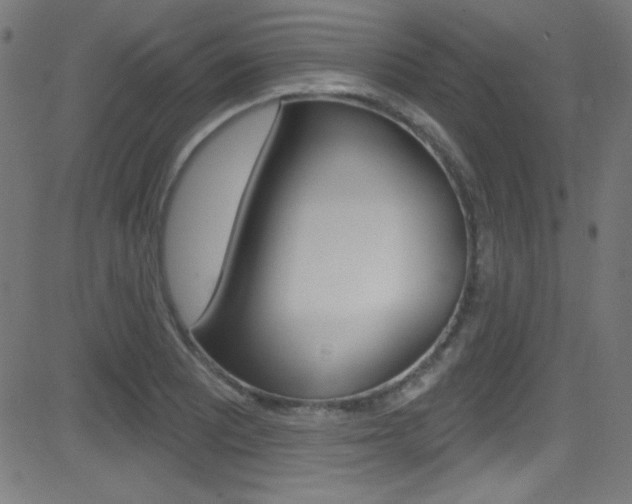 X0000081481081200701121035