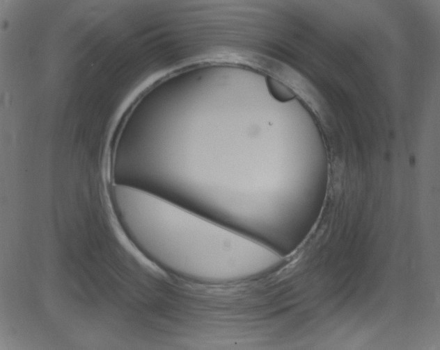 X0000081481084200701121035