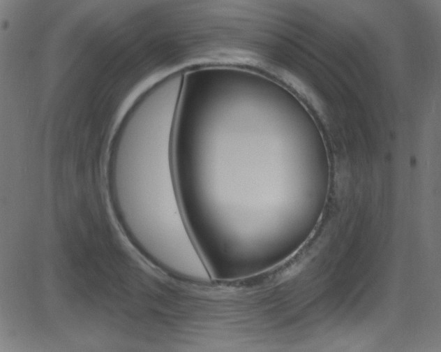 X0000081481085200701121035
