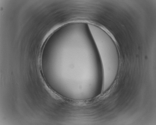 X0000081481101200701121035