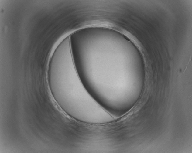 X0000081481104200701121035