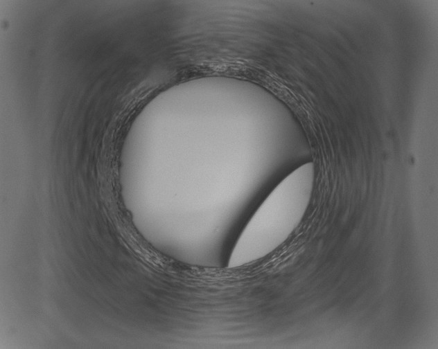 X0000081481105200701121034