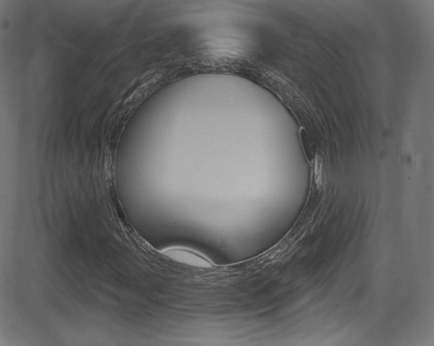 X0000081481107200701121034