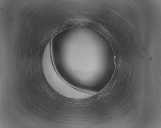 X0000081481108200701121034