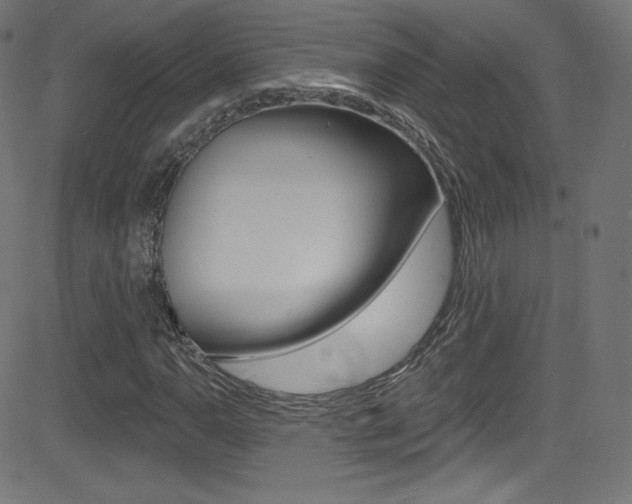 X0000081481110200701121034