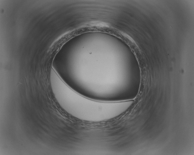 X0000081481112200701121034