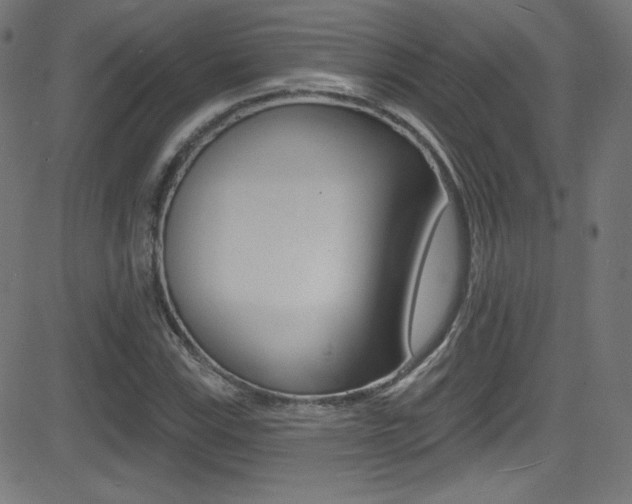 X0000081481115200701121034