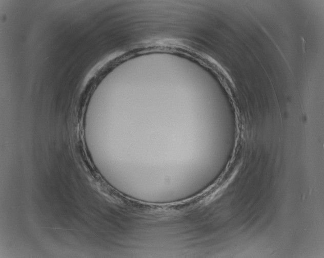 X0000081481117200701121034