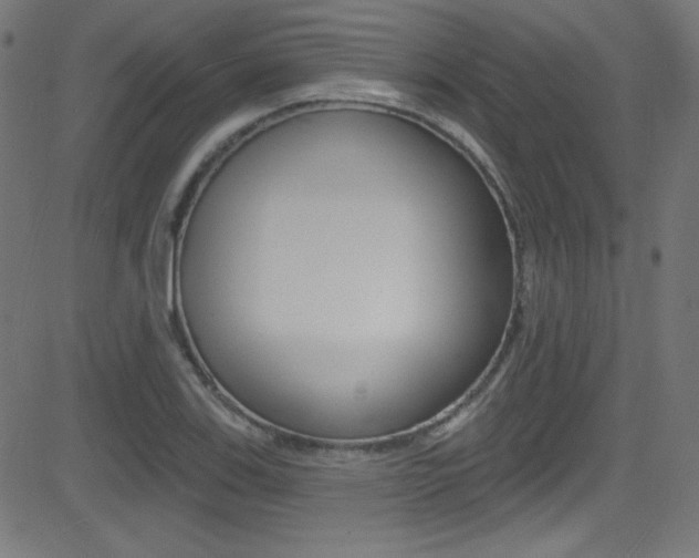 X0000081481123200701121034