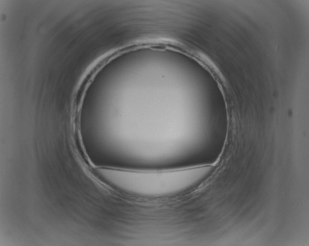 X0000081481124200701121034