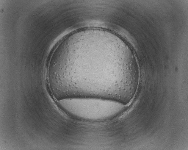 X0000081481125200701121034