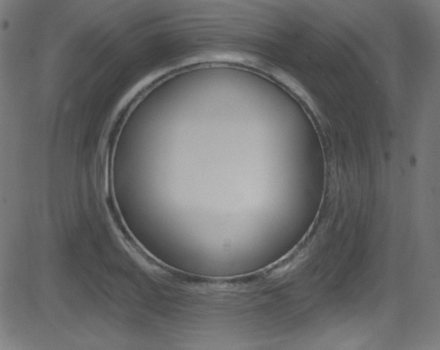 X0000081481127200701121034