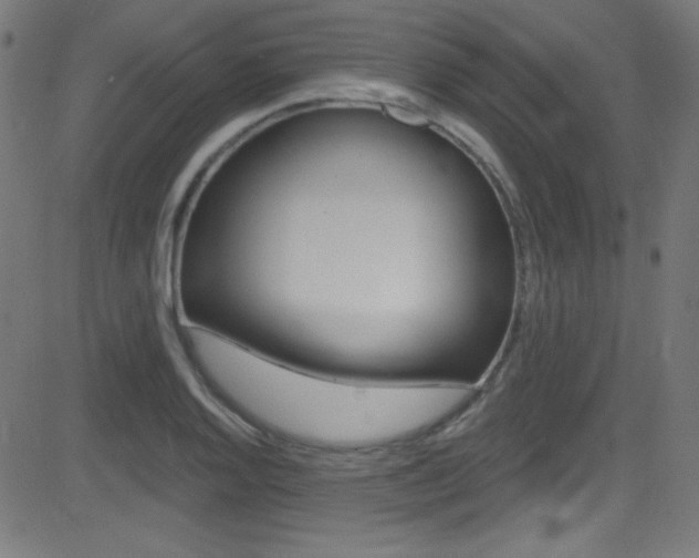X0000081481128200701121034