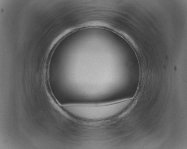 X0000081481134200701121034