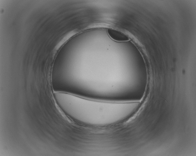 X0000081481137200701121034