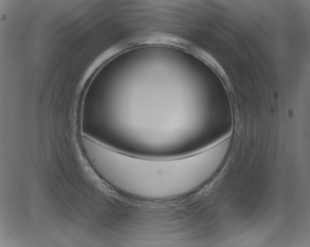 X0000081481138200701121034