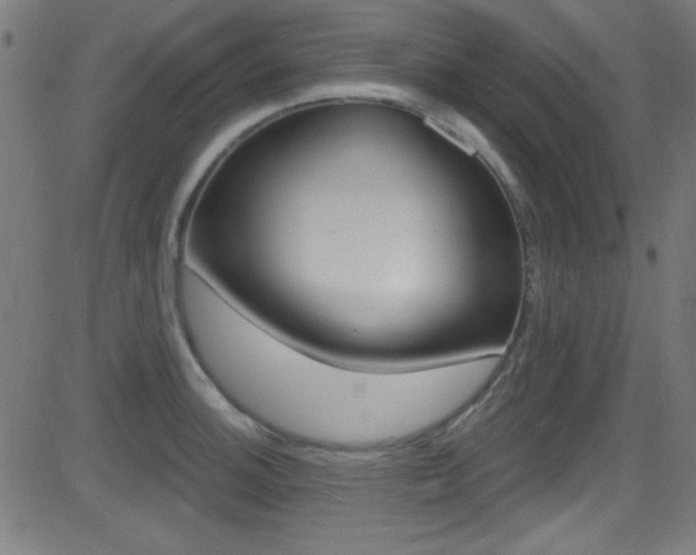 X0000081481140200701121034
