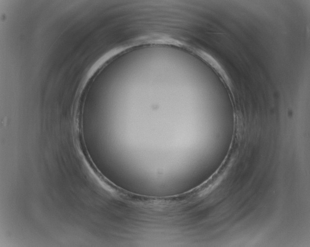 X0000081481141200701121034