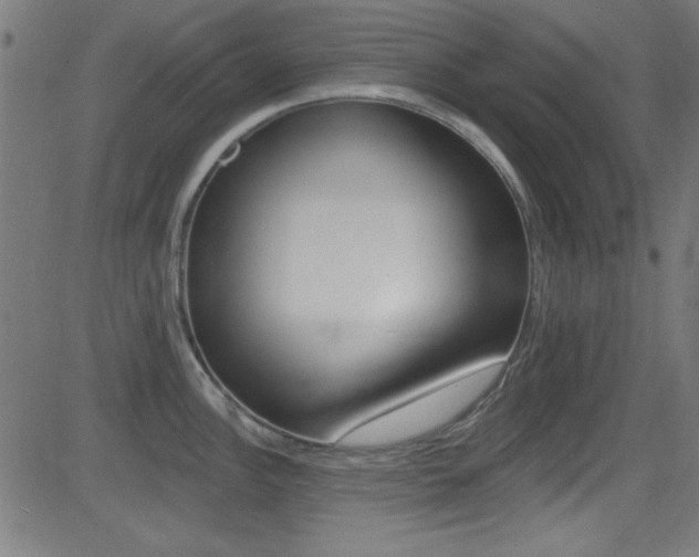 X0000081481148200701121034