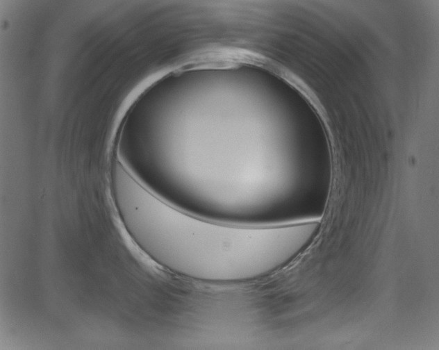 X0000081481152200701121035