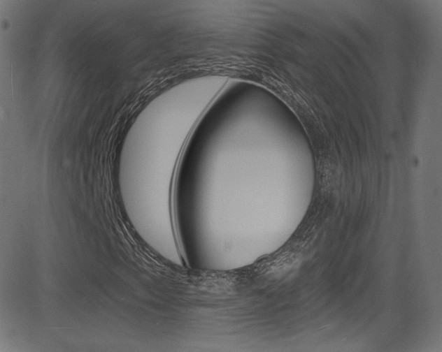 X0000081481153200701121034