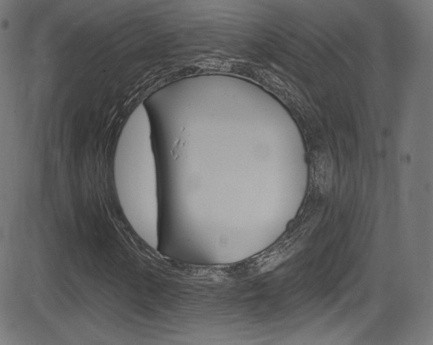 X0000081481154200701121034