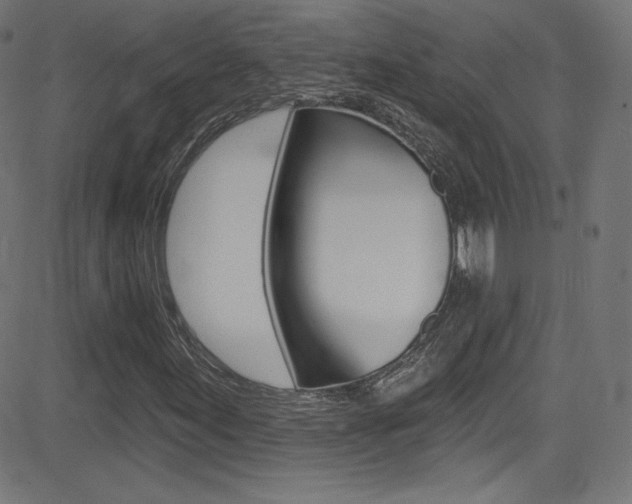 X0000081481155200701121034
