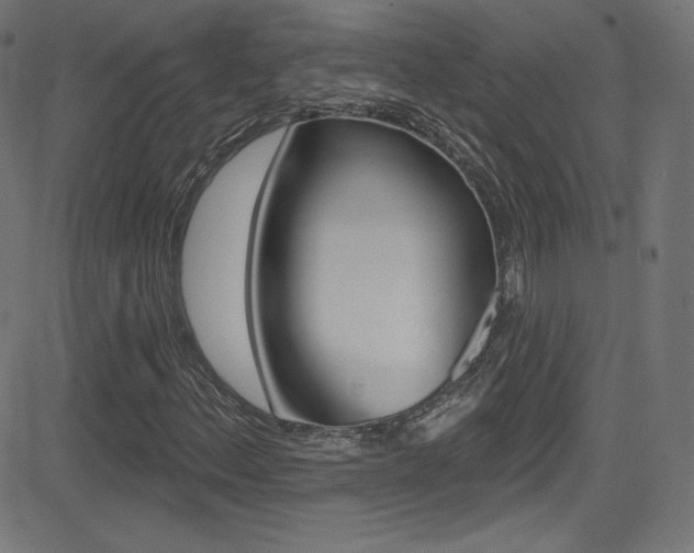X0000081481156200701121034
