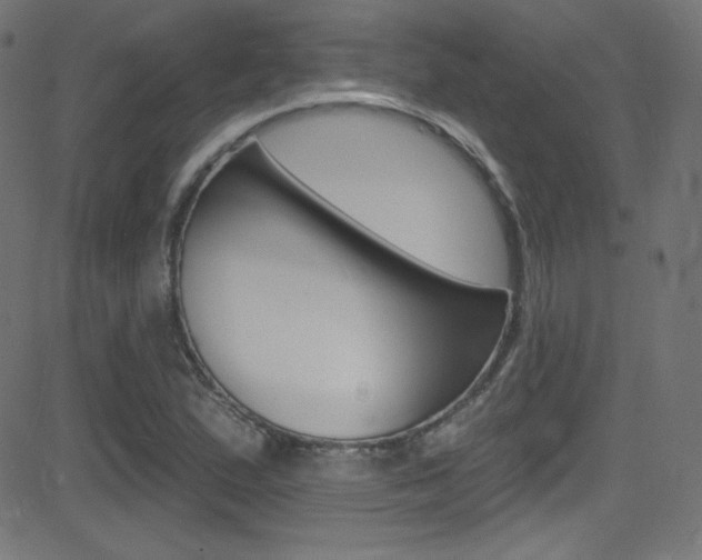 X0000081481167200701121033
