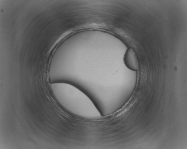 X0000081481170200701121033