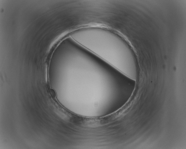 X0000081481171200701121033