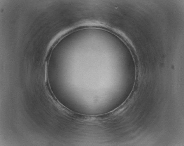 X0000081481175200701121033