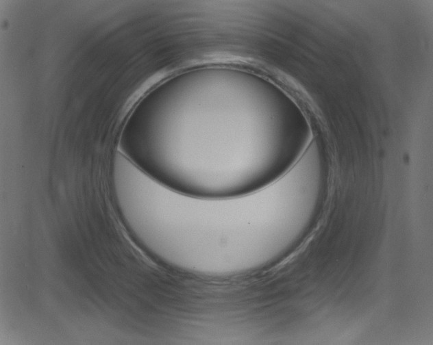 X0000081481177200701121033