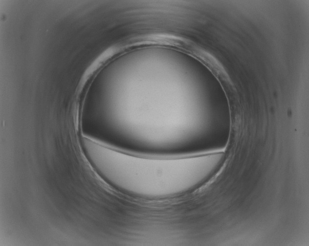 X0000081481180200701121033