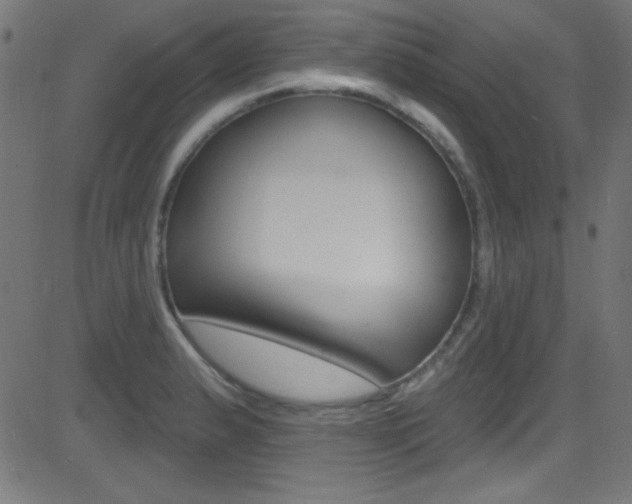 X0000081481183200701121033