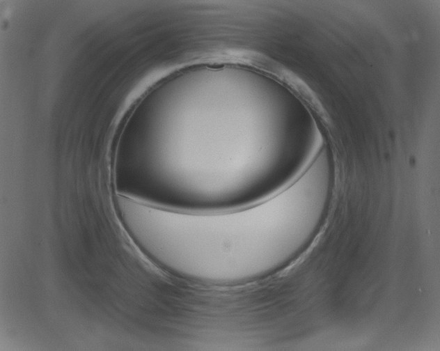 X0000081481184200701121033