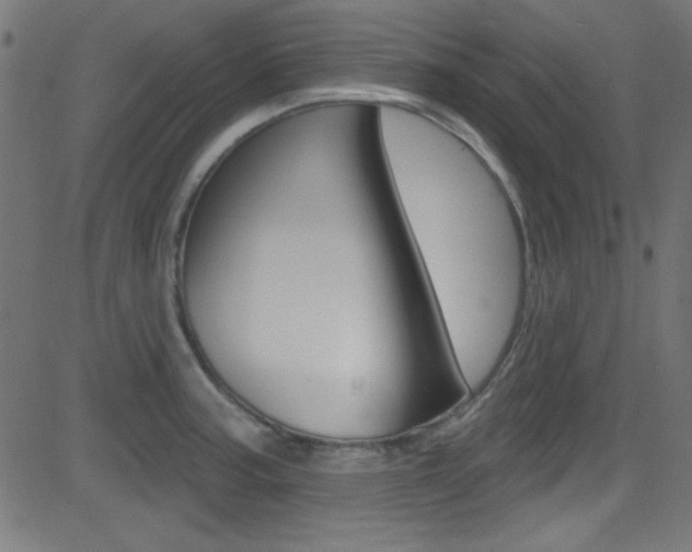 X0000081481187200701121033
