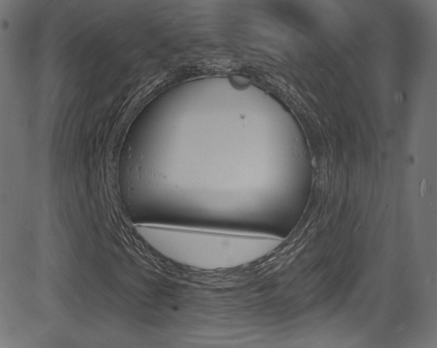 X0000081481201200701121032
