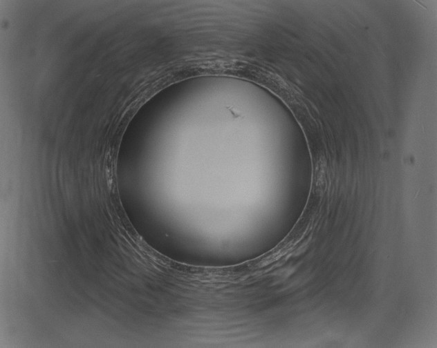 X0000081481202200701121032