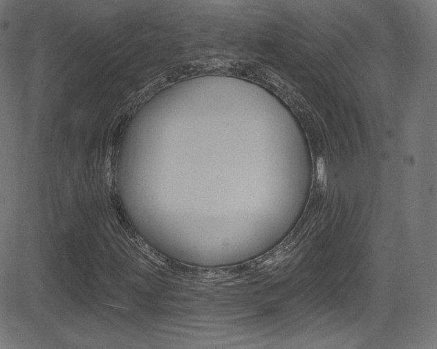 X0000081481203200701121032